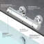 2 Handle Bath Filler