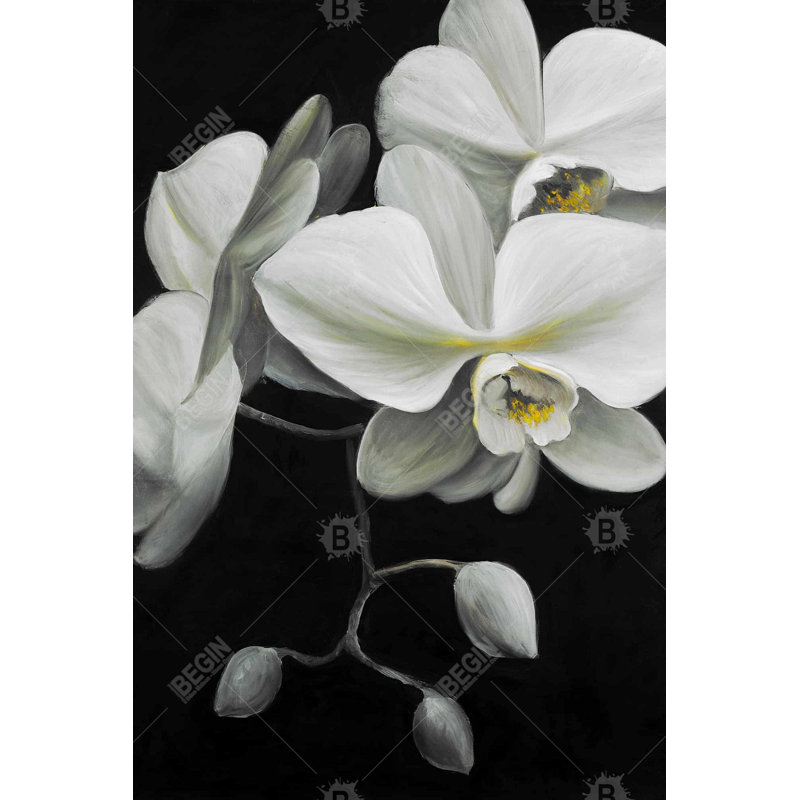 "Orchidées blanches" sur toile