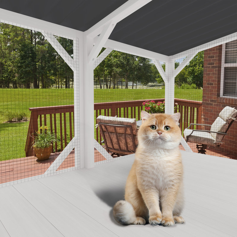 Perchoir pour chat pour grands chats d'intérieur, Blanc ancien