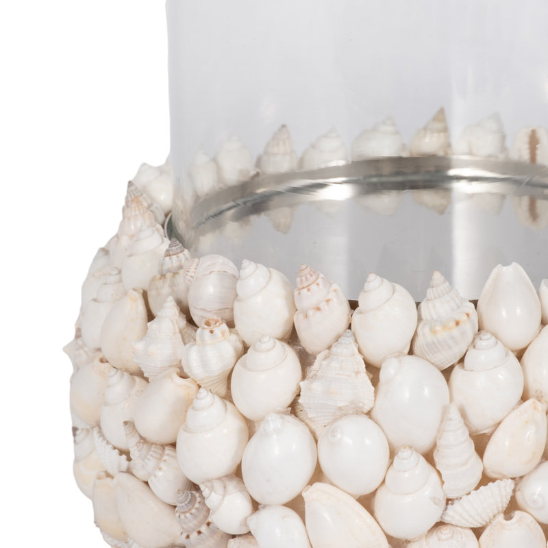 Shell White Cylinder Hurricane Candle Holder, 10" H x 7" W x 7" D