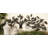 Traditional Plants & Flowers Wall Decor on Metal-1999652956
