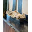 Orchid Stems in Planter-1146220049