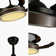 Aelin 42'' Ceiling Fan with LED Lights