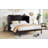 Queen Size Murphy Bed
