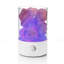 Knepper Lamp