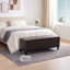 Faux Leather Upholstered Storage Bench-1664387399