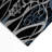 Midnight Blossom Indoor And Outdoor Area Rug-310633902