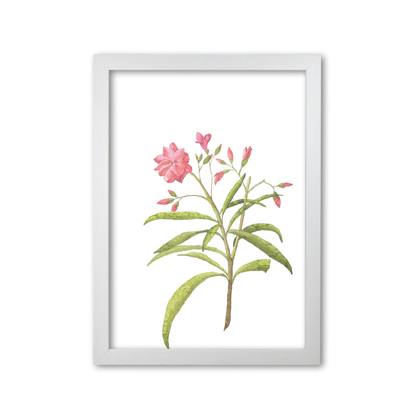 Pink Flower - Print, White Grain Frame, 30 cm H x 21 cm W x 5 cm D