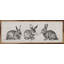 Trois lapins blancs-1547081861