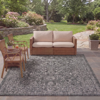 Tapis d'intérieur / extérieur Amedee Performance