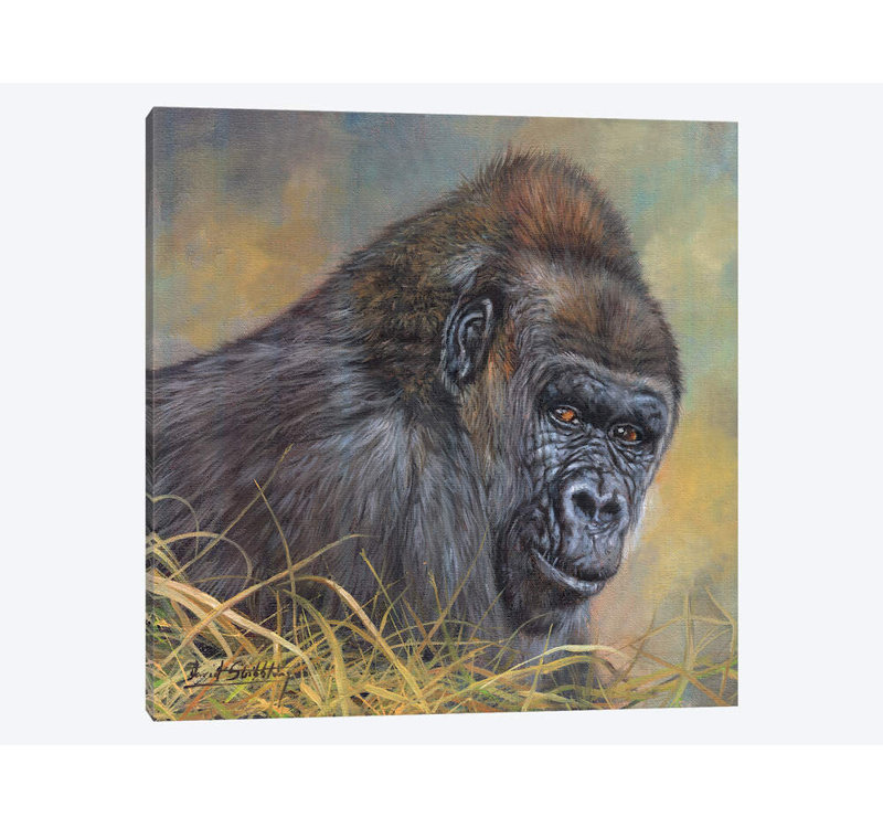 « gorilla », impression sur toile, H 12 po x l 12 po x P 0,75 po, Pas de tapis, Toile tendue