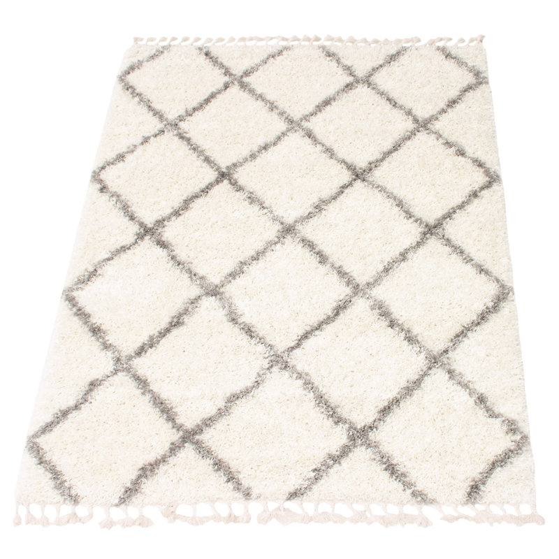 Renwick Moroccan Indoor Rug, Rectangle 3'11" x 5'11"