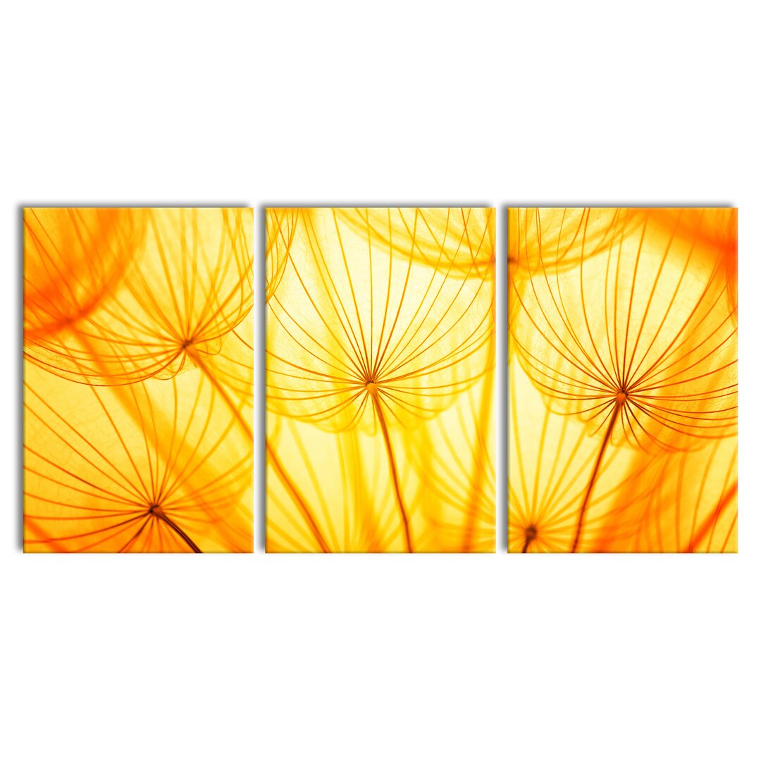 3-tlg. Leinwandbilder-Set Pusteblumen oranges Licht