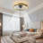 19.68'' 20W LED Ceiling Fan with Lights and Remote Control, Dimmable Brightness and Color Temperatures