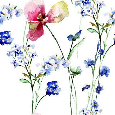 Cartina 2.5m x 2.5m Matte Mural