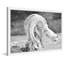Single Picture Frame Painting-145124936