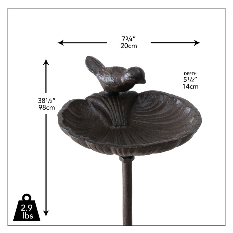 Aleana Scallop Shell Birdbath