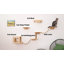 Cat Wall Shelves Cat Perch