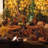 Cadarrah Outdoor 100 - Bulb 33'' Solar Powered Mini String Light-813521637
