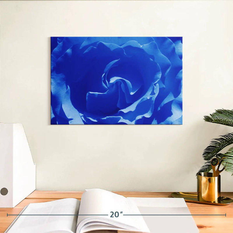 Macro bleue Hardie