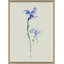 Iris Cuttings Painting by Yuki Osada