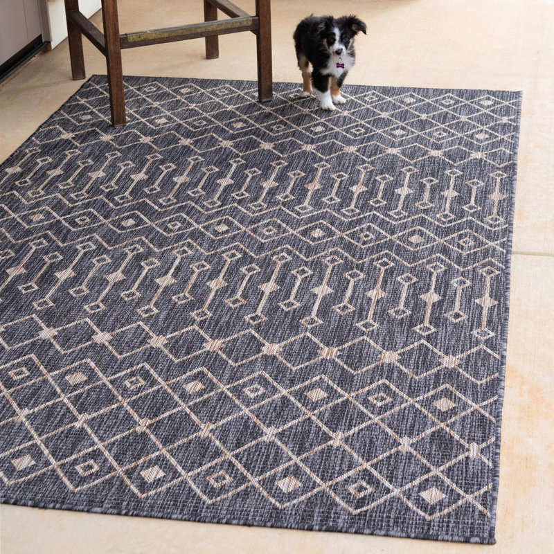Tapis intérieur / extérieur gris anthracite Leyla, Rectangle 3 pi 3 po x 5 pi 3 po