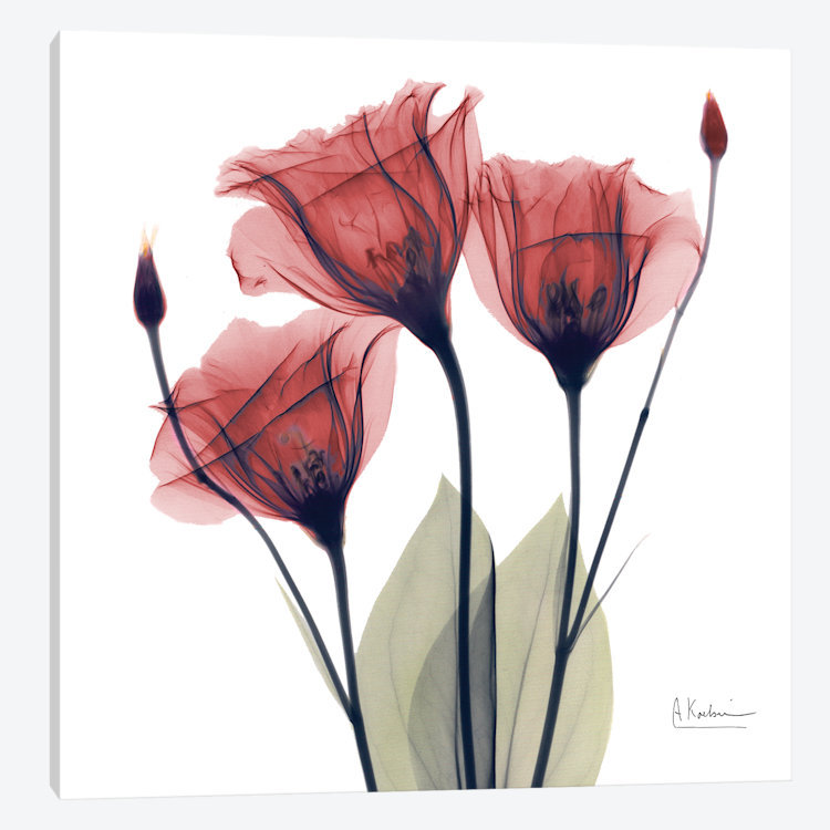 «Gentian Faith», reproduction d'impression sur toile, H 12 po x l 12 po x P 0,75 po, Toile tendue, Pas de tapis