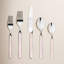 Fantasia Place Set 5 Pcs-14547515