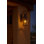 Casa Traditional 1-Light Outdoor Wall Lantern