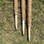 Ceriyah Wood Plant Support