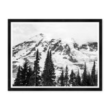 Mt. Rainier Treetops In Black & White Print by Tim Klein