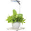 Plant Grow Light