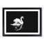 Swan - Picture Frame Painting Print-56705896-56705895