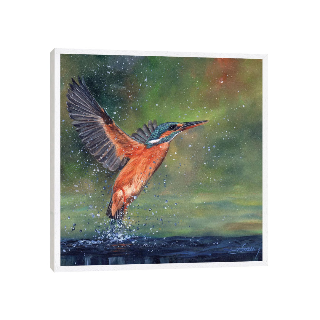 Eisvogel von David Stribbling - Galerie-umwickelte Leinwand Giclée