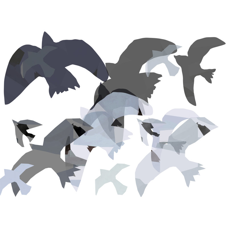 Taylour Collaged Birds III by Cartissi - Wrapped Canvas Print, 30 cm H x 46 cm W