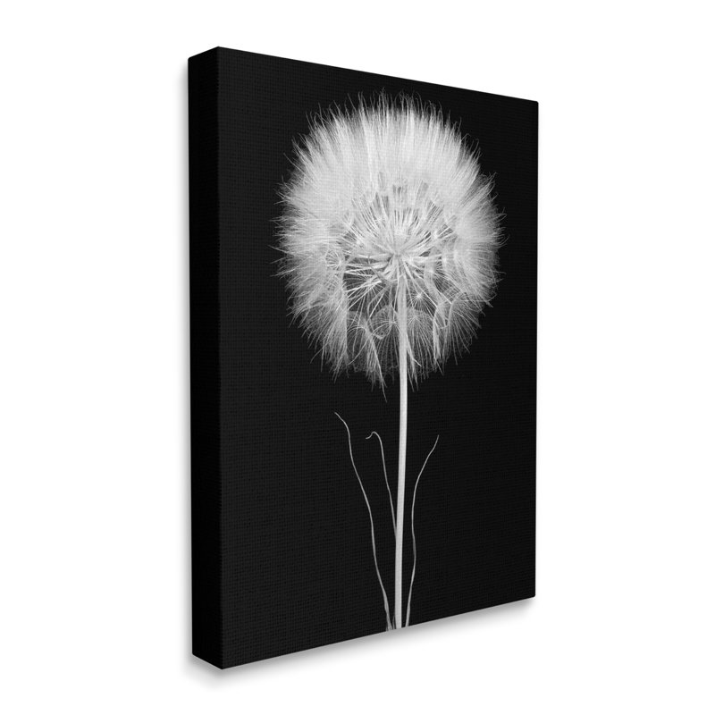 Photographie moderne en noir et blanc de la tige de pissenlit par Jadei - photographie, L 16 po x H 20 po, Toile tendue