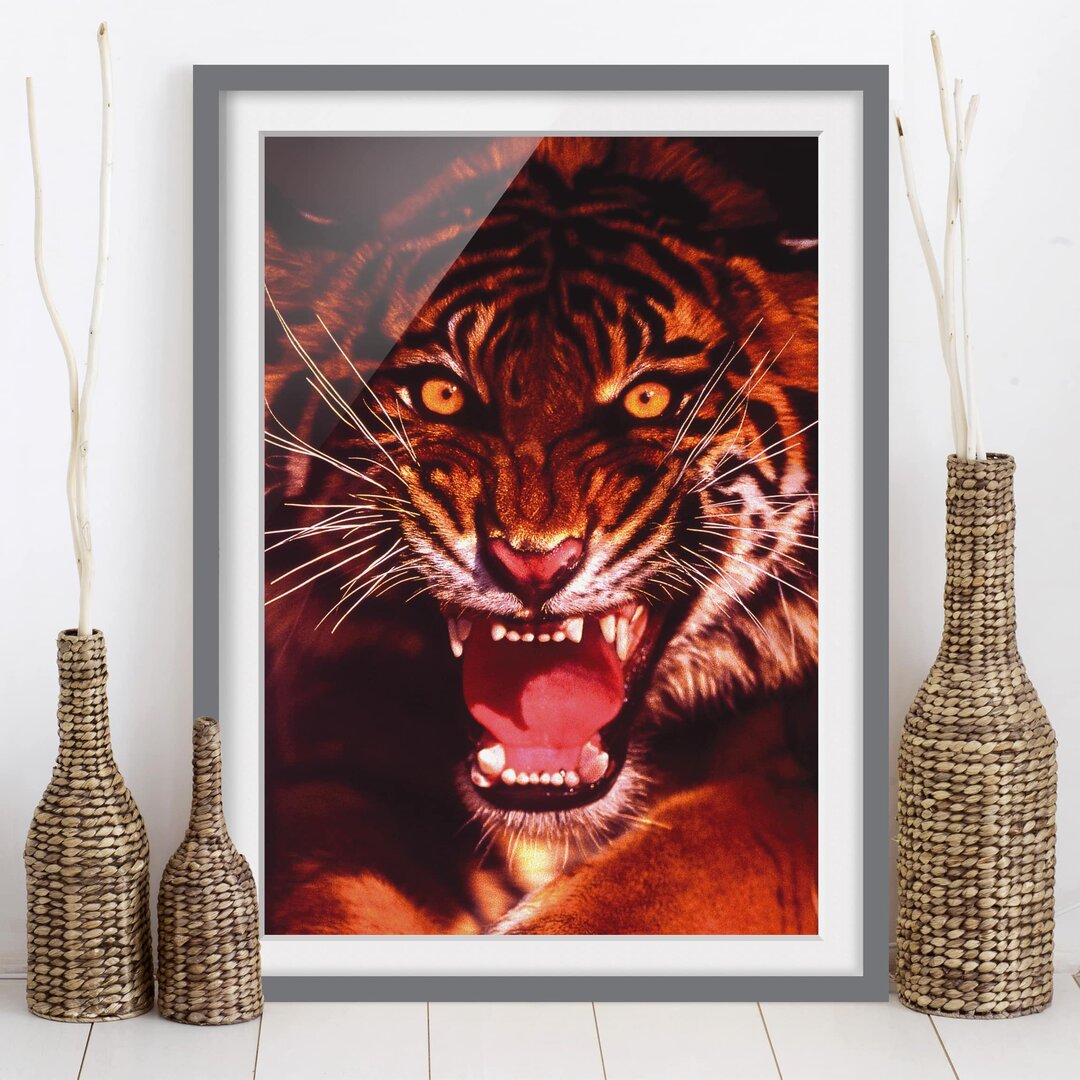 Gerahmtes Poster Wild Tiger