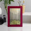Delicate Forest II - reproduction de cadre photo simple-90582800-90582802