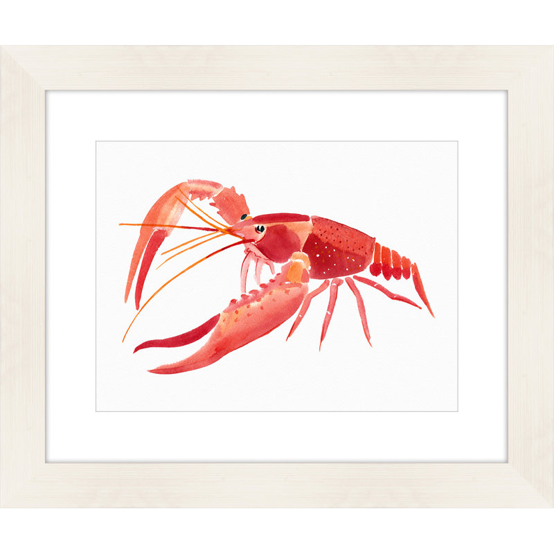 « crayfish », reproduction de peinture à l’aquarelle encadrée