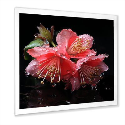 Pink And Black Fushia Petals Blooms - Fuschia Wall Art