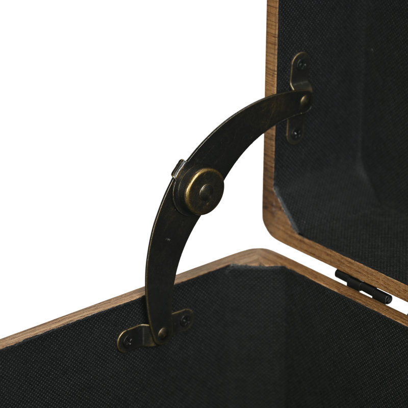 Sable Set of 3 Trunks with Gold Handles, Brown