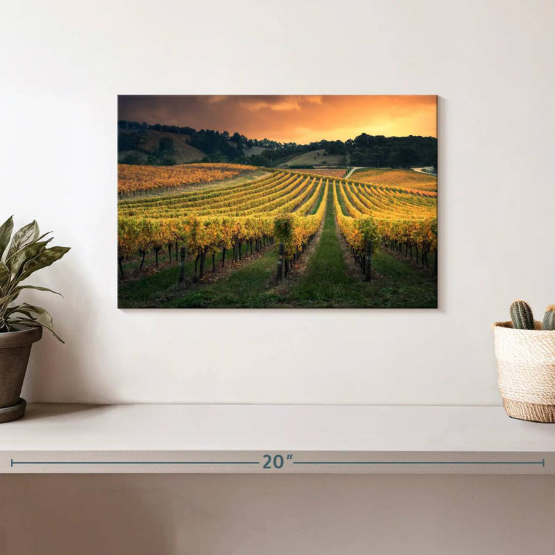 Alvord Golden Australian Vineyard, H 8 po x l 12 po