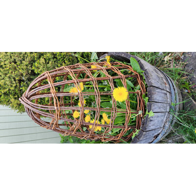 Cloche de saule