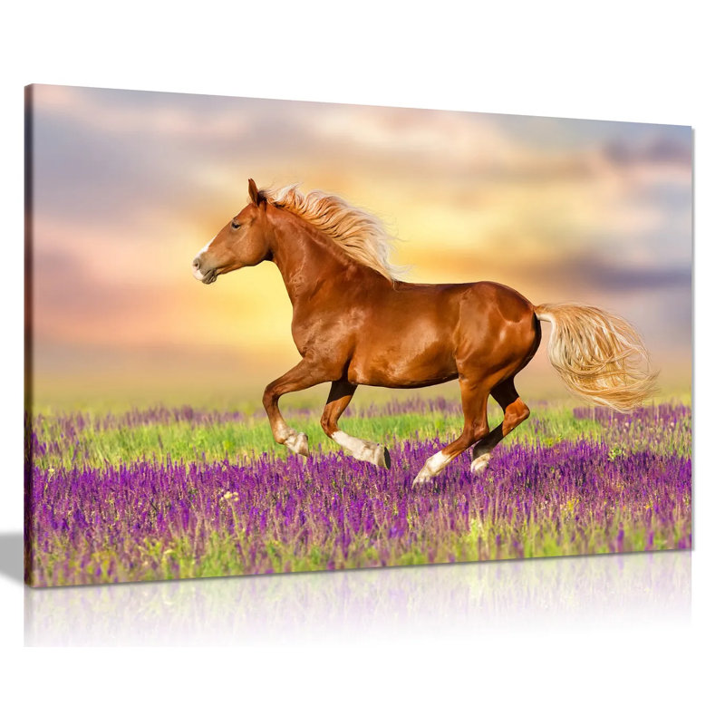 Horse Running Through Lavender Field - Wrapped Canvas Print, 41cm H x 61cm W