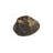 Cast Naturals Petrified Wood Wall Décor