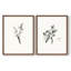 «Vintage Floral XXII», impression giclée sur cadre - ensemble de 2-813104422-813104442