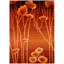 Sevilla Floral Area Rug-33948154