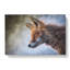 Red Fox Vol.5 - Wrapped Canvas-61837000