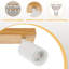 Shanila Spotlight-91489048