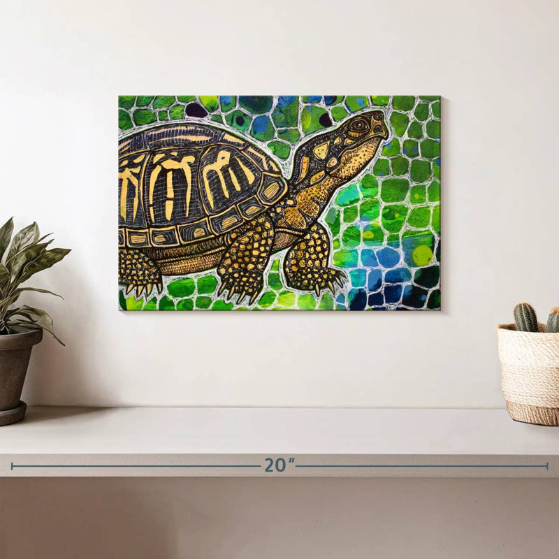 Brampt Eastern Box Turtle, 8" H x 12" W